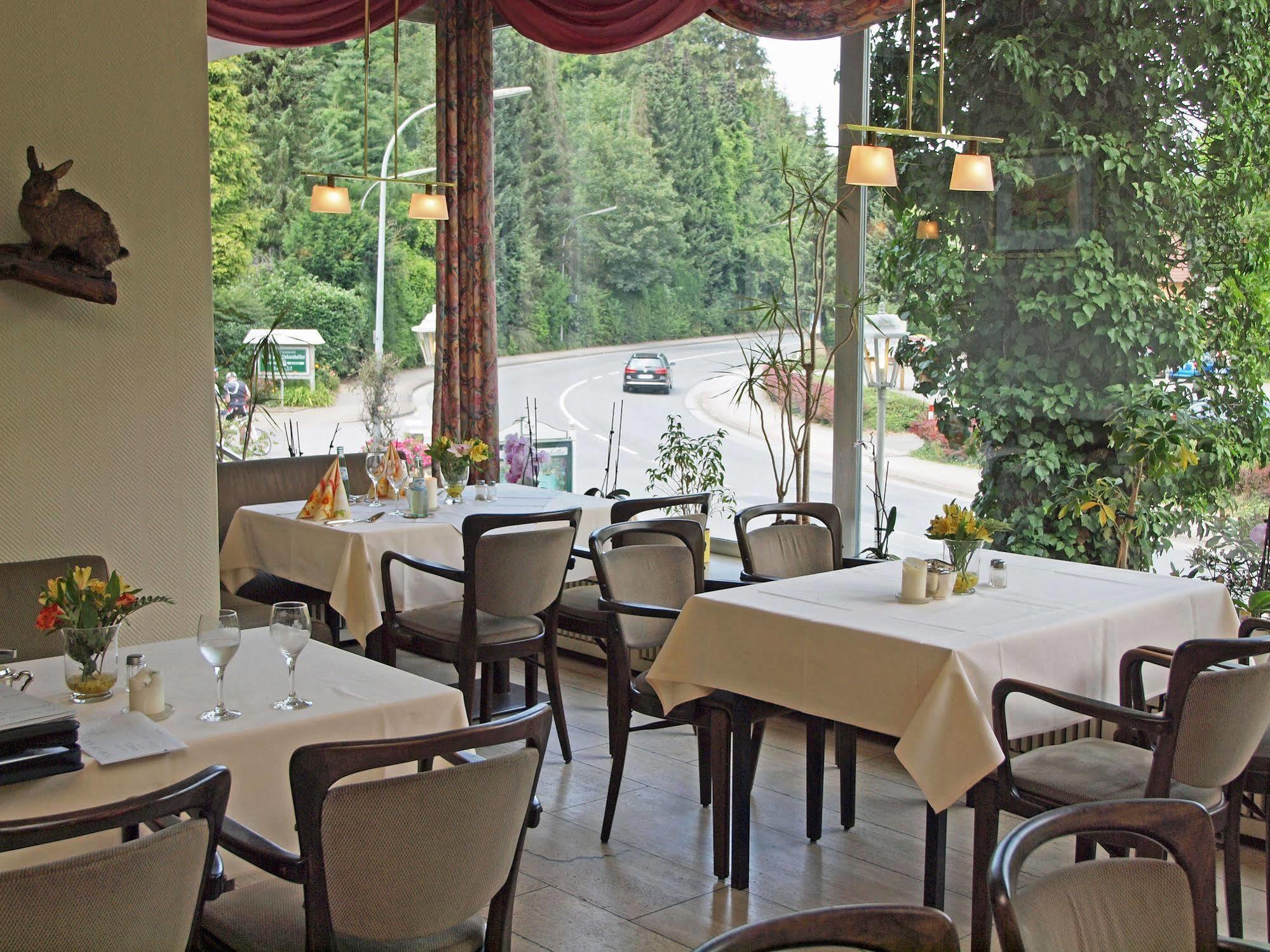 Waldhotel Felsenkeller バート・イブルク エクステリア 写真
